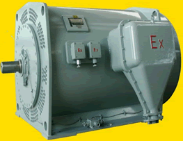 YB560～900系列高壓隔爆型三相異步電動(dòng)機(jī)