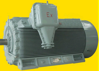 YBX3系列隔爆型三相異步電動(dòng)機(jī)