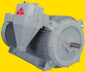 YBXn系列高壓高效率隔爆型三相異步電動(dòng)機(jī)